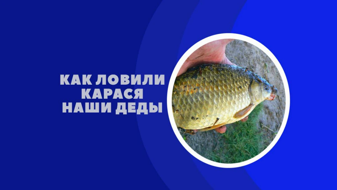 Передача Как ловили карася наши деды