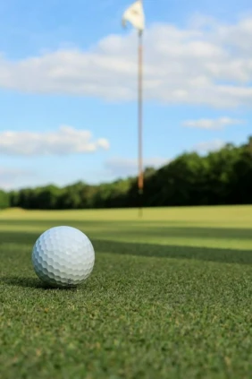 Discovery golf