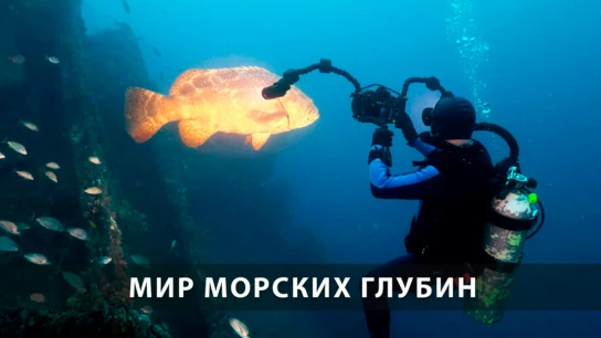 Мир морских глубин