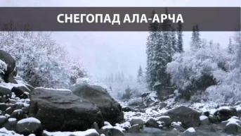Снегопад Ала-Арча