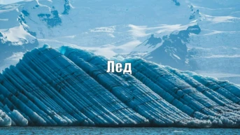 Лед