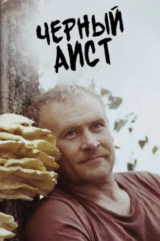 Чёрный аист