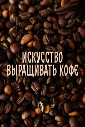 Искусство выращивать кофе