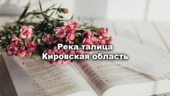 Река талица Кировская область