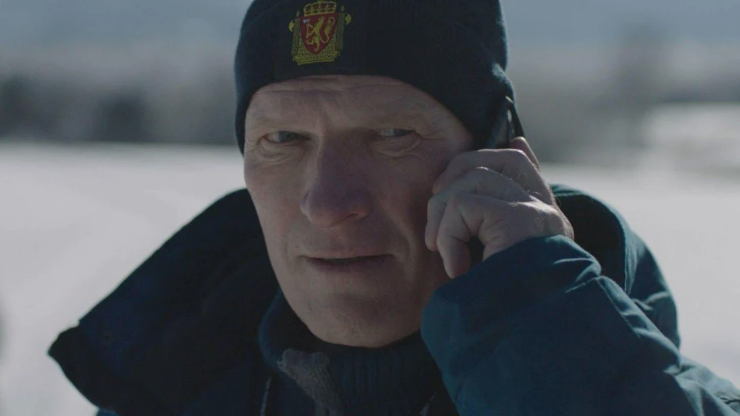 Сериал Детектив Вистинг