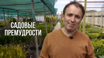 Садовые премудрости