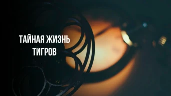 Тайная жизнь тигров