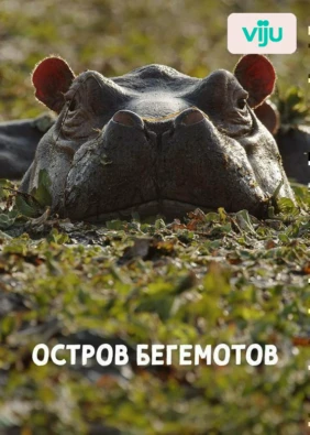 Остров бегемотов