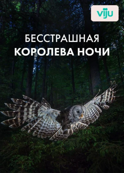 Бесстрашная королева ночи