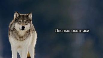 Лесные охотники