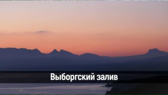 Выборгский залив