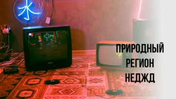 Природный регион Неджд