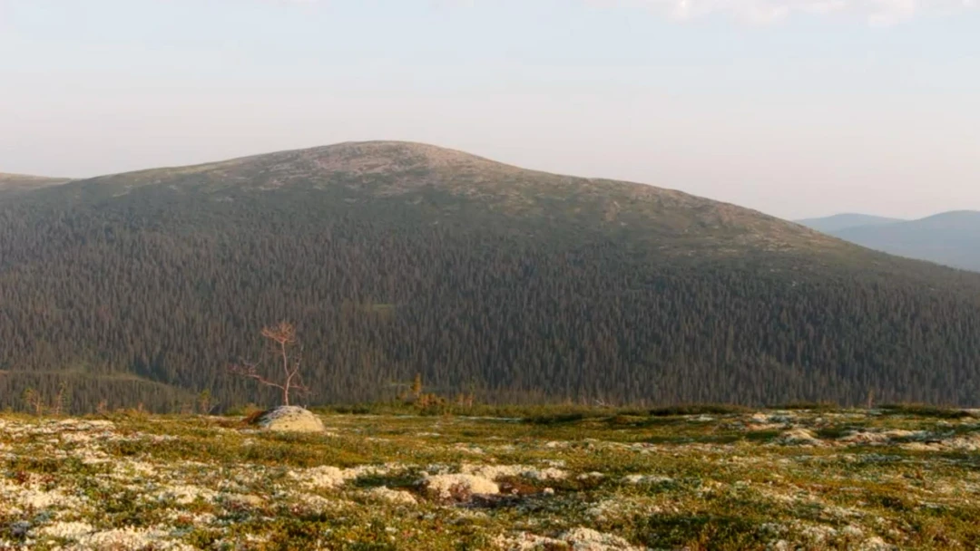 Передача Гора Лувеньгские Тундры