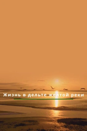 Жизнь в дельте Жёлтой реки