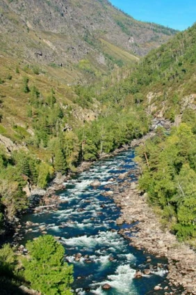 Река Чульча