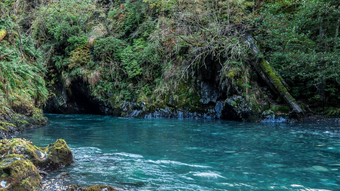 Передача Каньон реки Киша
