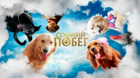 Трейлер 1