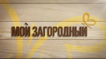 Мой Загородный