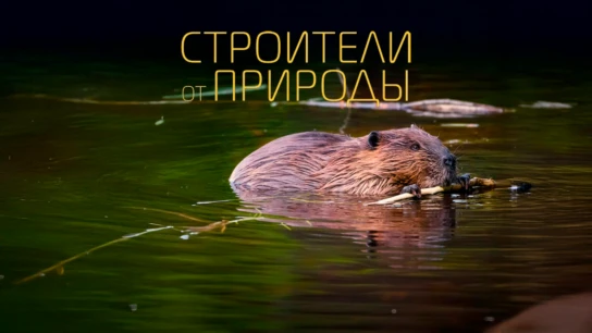 Строители от природы