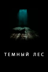 Темный лес