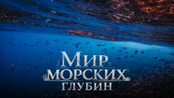 Мир морских глубин