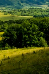 Невиданные Аппалачи