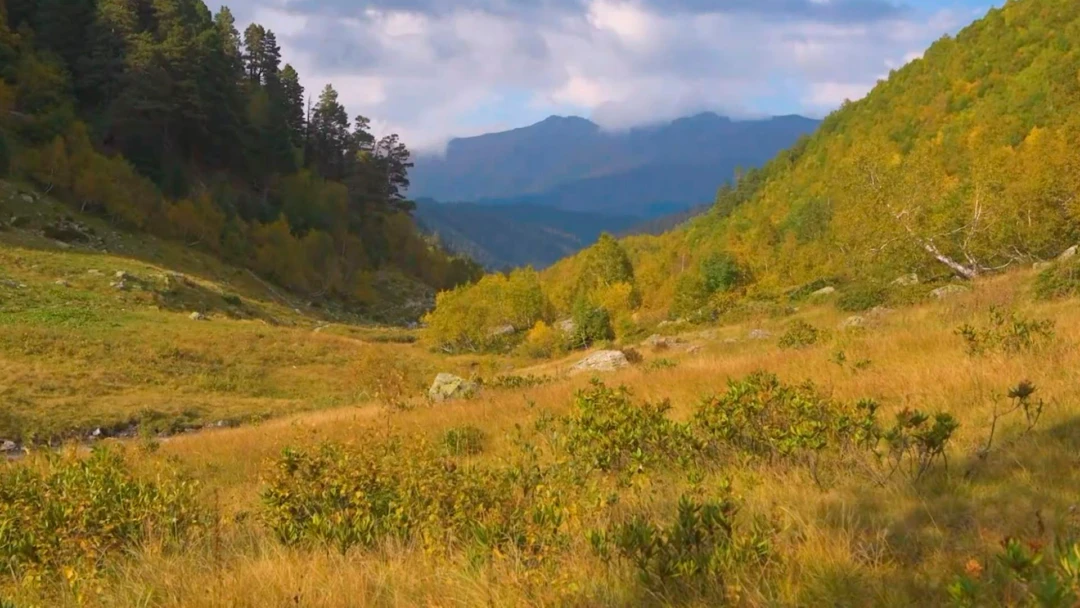 Передача Осень в горах