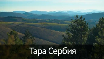 Тара Сербия