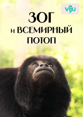Засуха