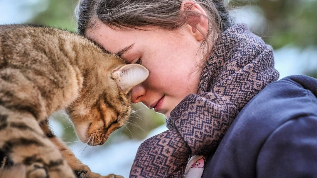 Фильм Мой котик и я