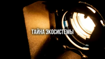 Тайна экосистемы
