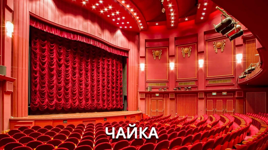Передача Чайка