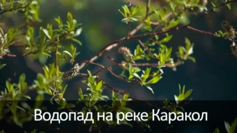 Водопад на реке Каракол