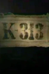 К-313
