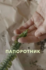 Папоротник
