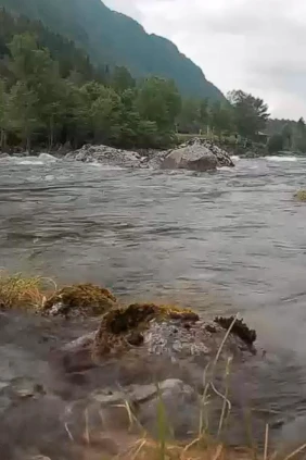 Река Дрива