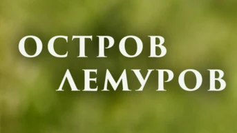 Остров лемуров