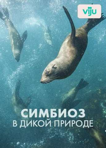 1 серия