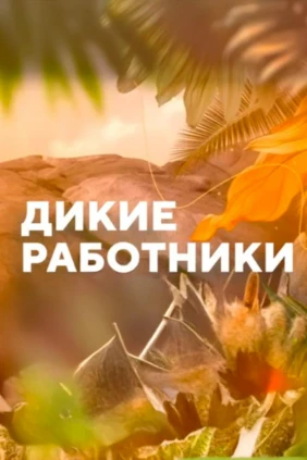 Дикие работники