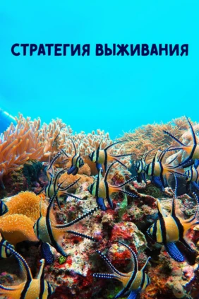 Стратегия выживания