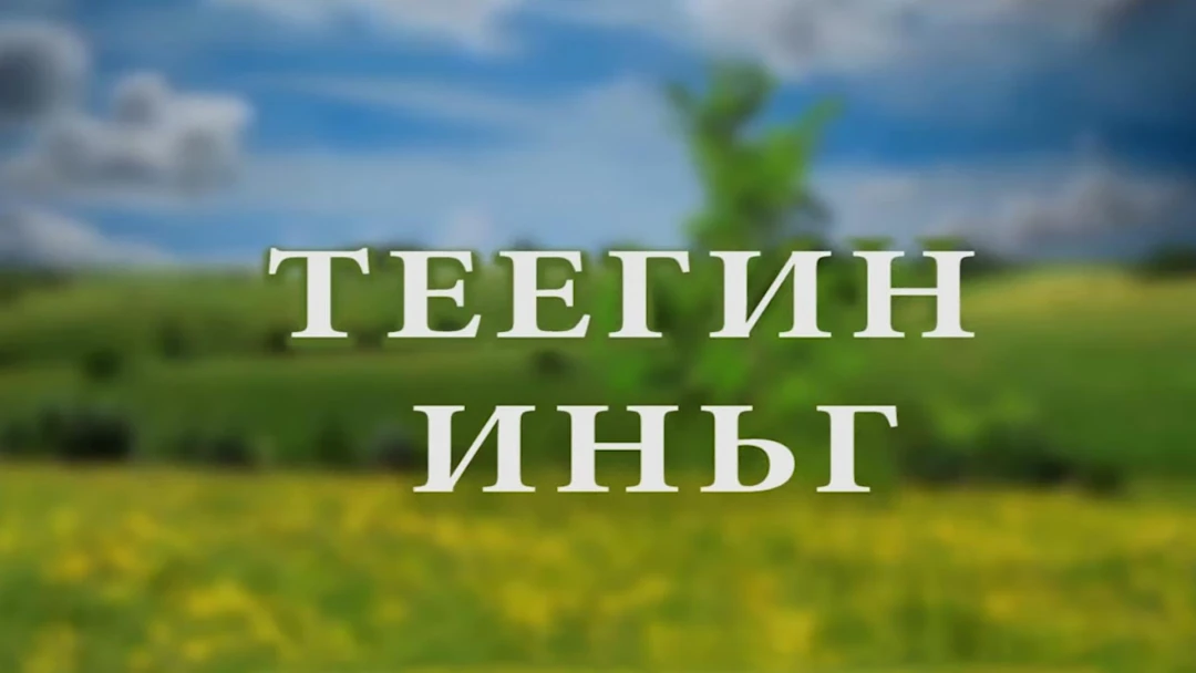 Передача Теегин иньг