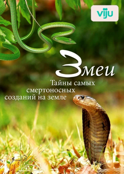Змеи. Тайны самых смертоносных созданий на земле