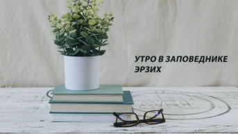 Утро в заповеднике Эрзих