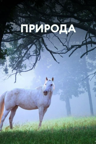 Природа