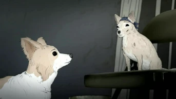 Собаки