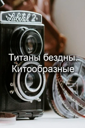 Титаны бездны. Китообразные