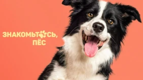 Трейлер 1