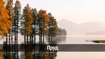 Пруд
