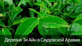 Деревня Ти Айн в Саудовской Аравии