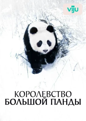Королевство большой панды